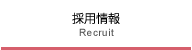 採用情報